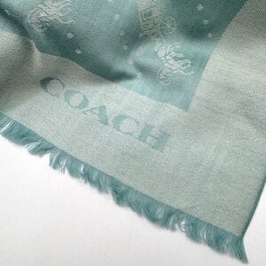 Coach Horse And Carriage Print Border Oversized Square Wool Scarf